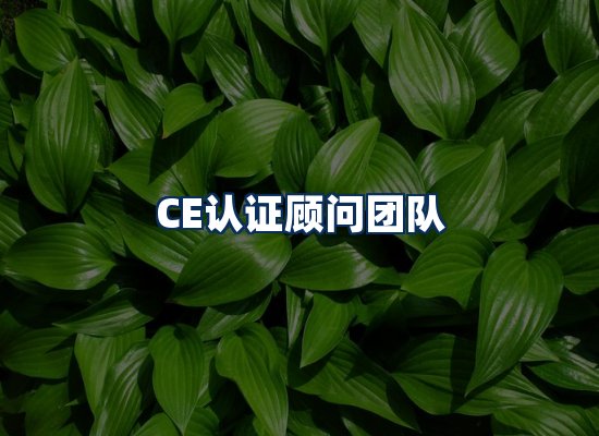 CE认证顾问团队